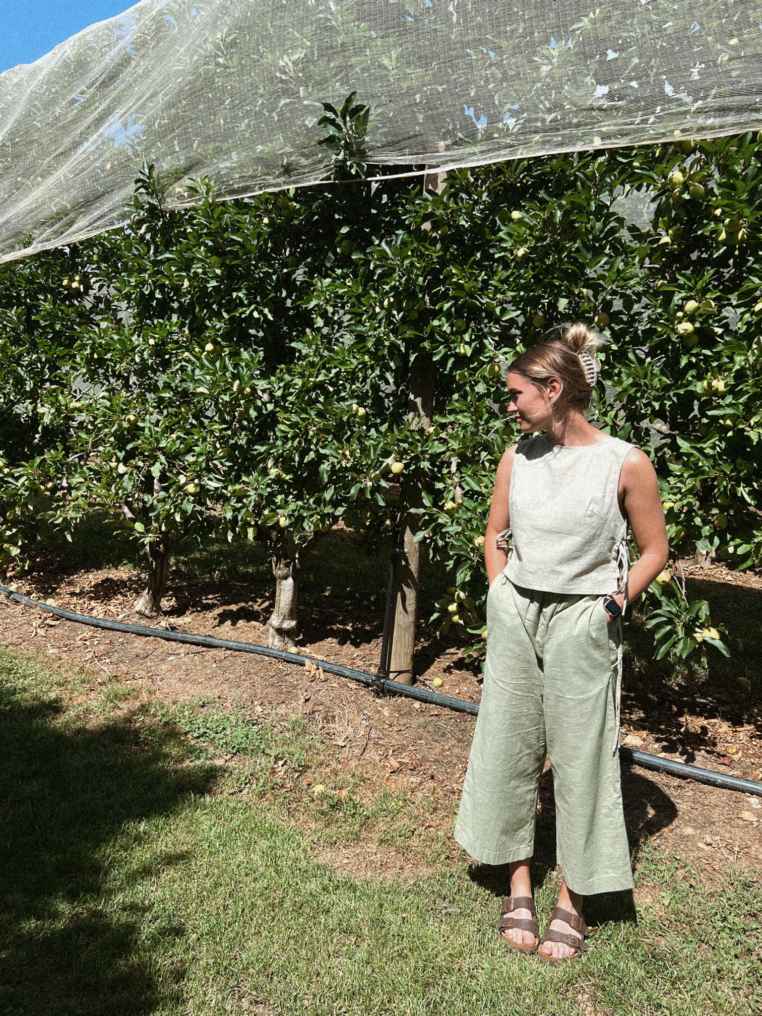 The Seija Pant - Sage